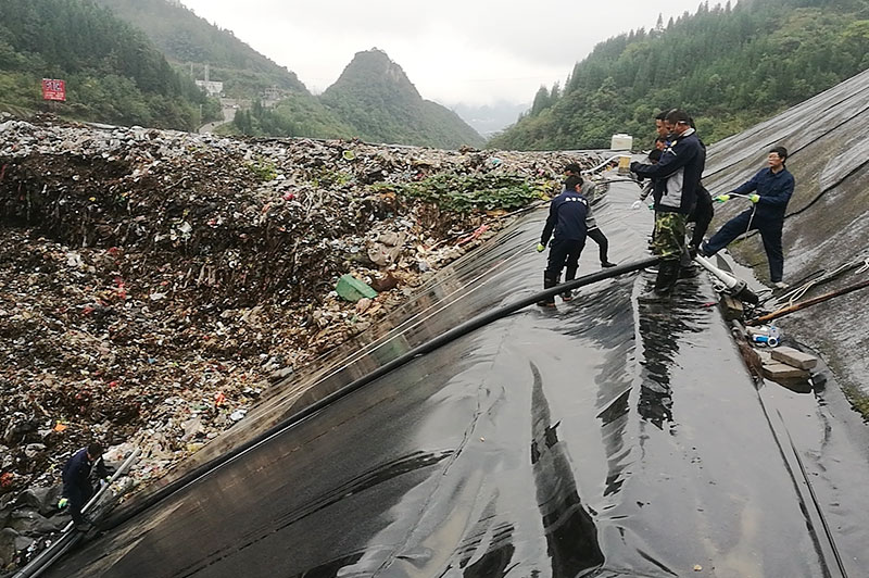 小蝌蚪视频色版填埋现场