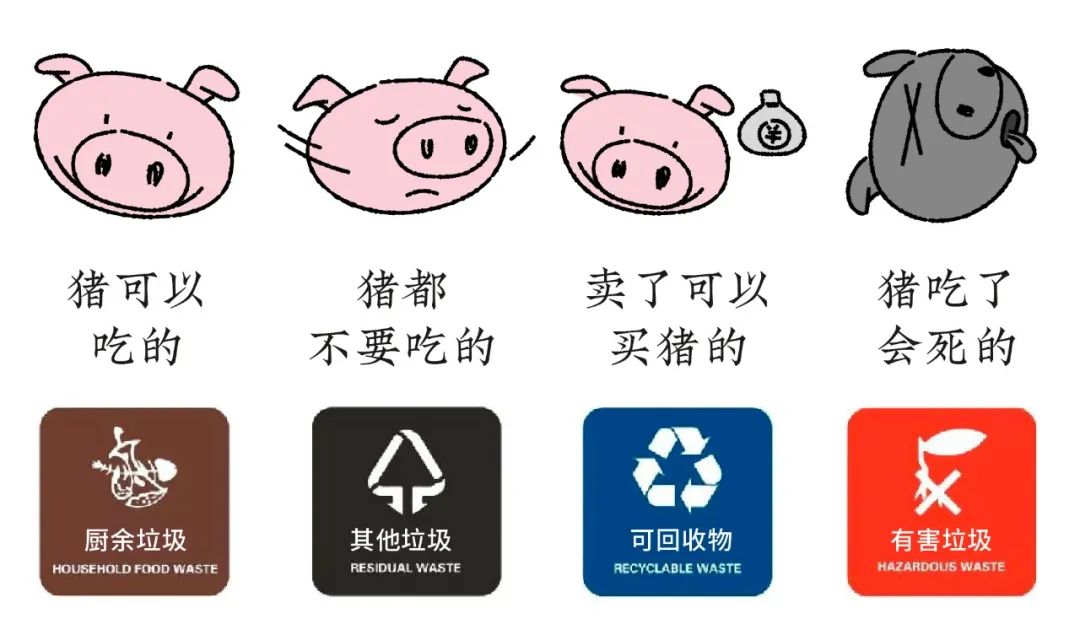 小蝌蚪视频色版分类知多少？